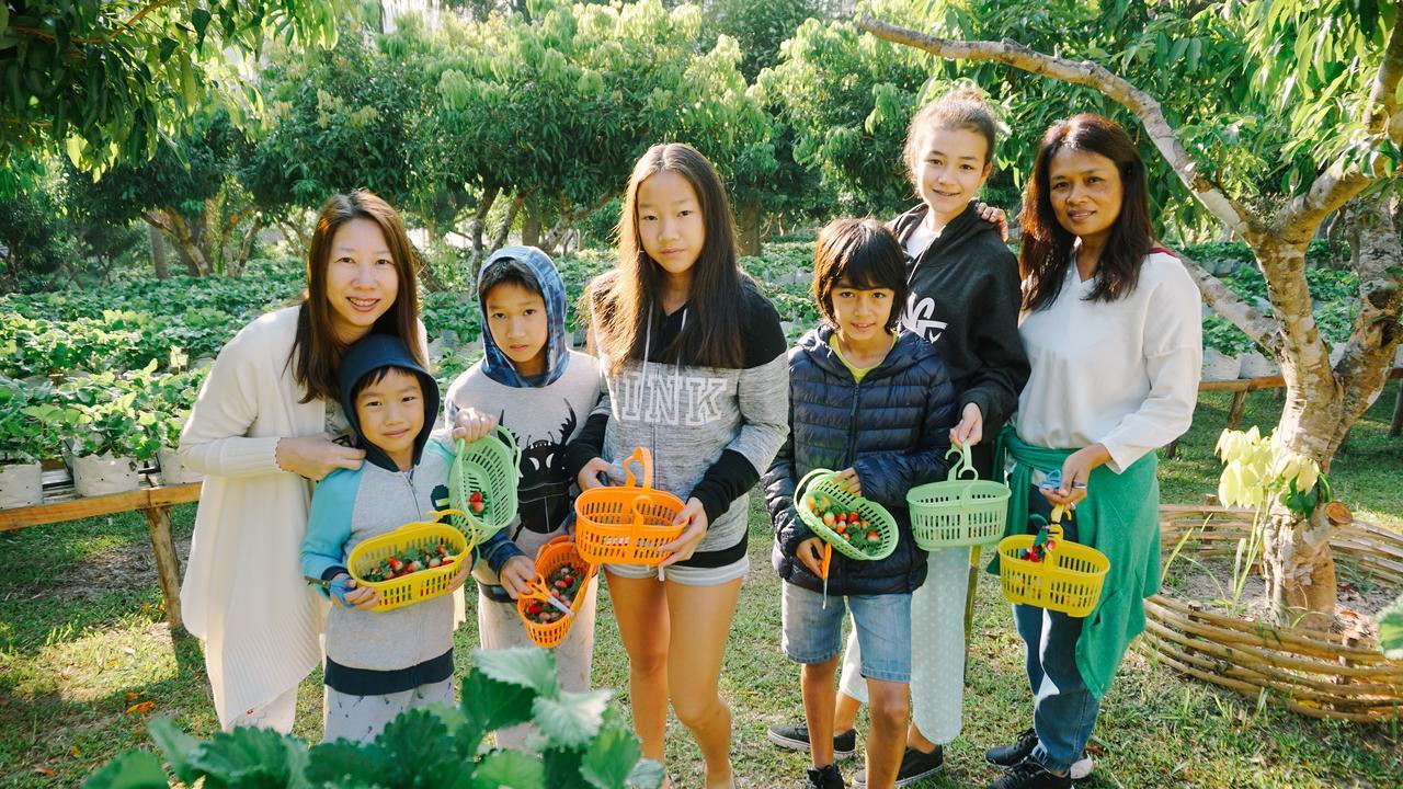 Phutarntree Resort Chiang Mai Ngoại thất bức ảnh