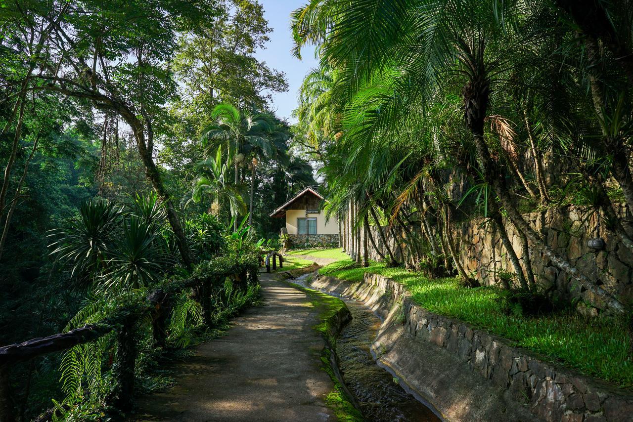 Phutarntree Resort Chiang Mai Ngoại thất bức ảnh