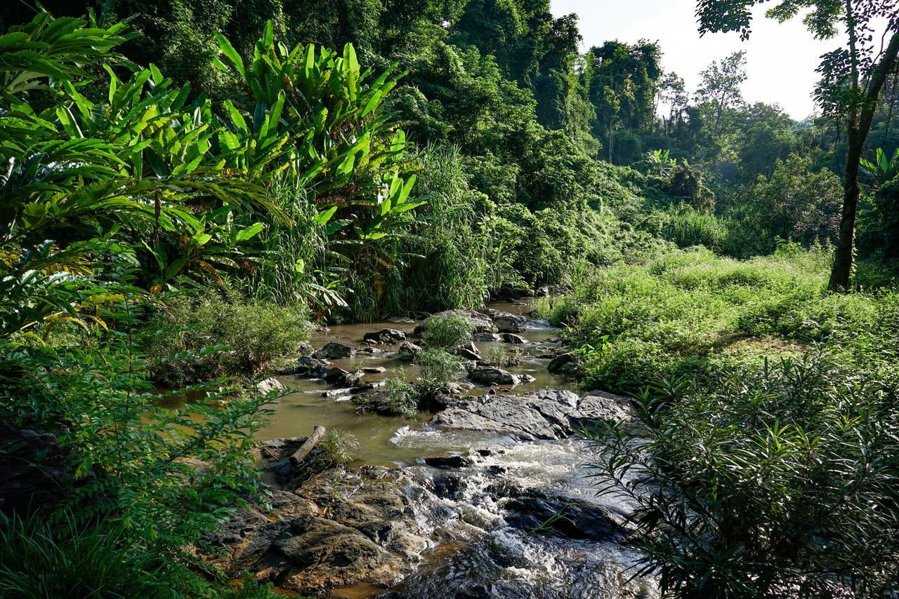 Phutarntree Resort Chiang Mai Ngoại thất bức ảnh